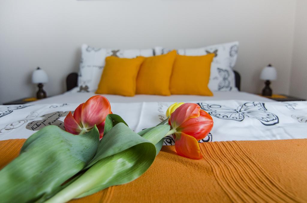 Villa Rose Belgrade Luaran gambar